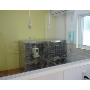 ネコちゃんの入院室も処置室から見ることができ、常に入院中のネコちゃんの様子を見ることができます。