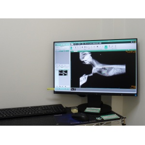 レントゲンで撮影した画像は、直ぐに各診察室に送ることができます。